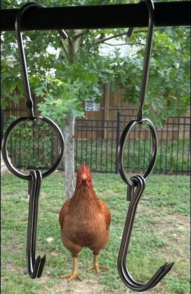 Poultry Roasting Hooks - My Store